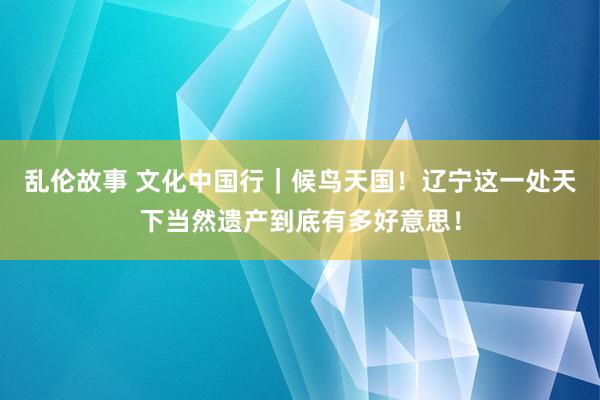 乱伦故事 文化中国行｜候鸟天国！辽宁这一处天下当然遗产到底有多好意思！