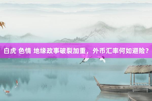 白虎 色情 地缘政事破裂加重，外币汇率何如避险？