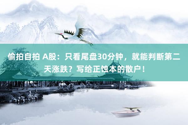 偷拍自拍 A股：只看尾盘30分钟，就能判断第二天涨跌？写给正蚀本的散户！