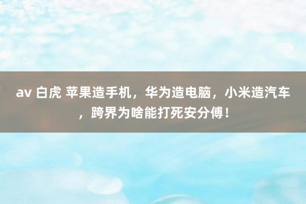 av 白虎 苹果造手机，华为造电脑，小米造汽车，跨界为啥能打死安分傅！