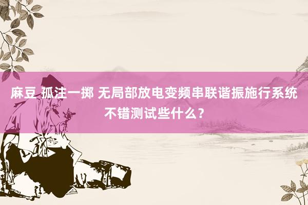 麻豆 孤注一掷 无局部放电变频串联谐振施行系统不错测试些什么？
