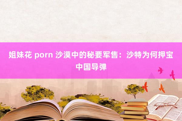 姐妹花 porn 沙漠中的秘要军售：沙特为何押宝中国导弹