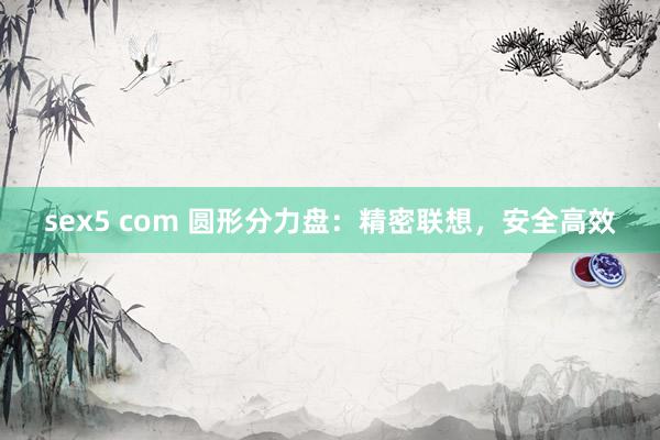 sex5 com 圆形分力盘：精密联想，安全高效