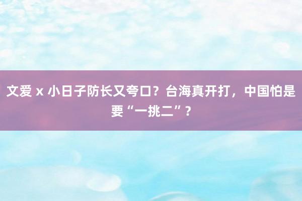 文爱 x 小日子防长又夸口？台海真开打，中国怕是要“一挑二”？