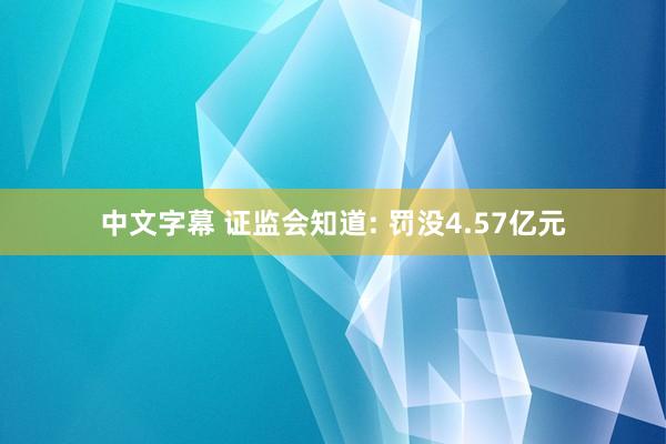 中文字幕 证监会知道: 罚没4.57亿元
