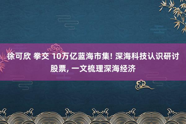 徐可欣 拳交 10万亿蓝海市集! 深海科技认识研讨股票, 一文梳理深海经济