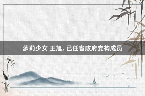 萝莉少女 王旭, 已任省政府党构成员